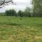 Les Hirondelles photo 8
