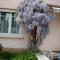 Les Tilleuls B&B photo 20