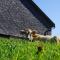 Ferienwohnungen im Blockhaus Metzler - Schwarzenberg im Bregenzerwald