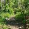 Cedar Ridge Cabins