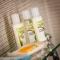 Best Western Plus Strongsville Cleveland