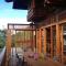 The Shorea