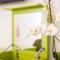 TheJoy City Suites