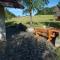 Chalet ApArt Kupljenik 12 A, Bled - 波希基斯卡贝拉