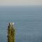 Appartamento vista mare