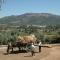 Quinta Do Vaqueirinho - Agro-Turismo - Marvão