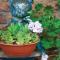 Clifton Gardens Bed & Breakfast - Orange