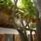 The Wooden House Hotel - Puerto Villamil