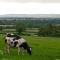 Foto: Ballindrum Farm B&B 1/48