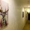 Deer Moon Hostel
