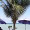 Papillon Resort