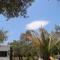Kayalar Blue Beach Hotel