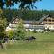 Waldhotel Auerhahn B&B Bed & Breakfast