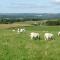 Rye Hill Farm