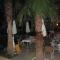 Zante Plaza Hotel & Apartments