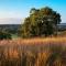 Joshua Creek Ranch