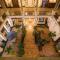 El Gran Hotel