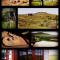 Melkboom Guest Farm