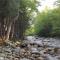 Franconia Notch Motel