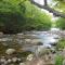 Franconia Notch Motel