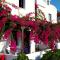 Anna Traditional Apartments