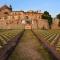 Agriturismo Dolce Verde - Castiglione del Lago