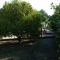 Asbn Magic Garden