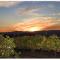 The Eden House Vineyard