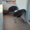 Quarto/Suite de Charme