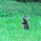 Bear & Butterfly Bed and Breakfast