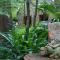 Witches Falls Cottages
