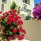 Rosana guest house