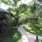 Oasis de las Palmas