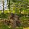 Domaine des Bories