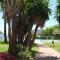 Apartamentos La Roca Rentals