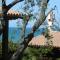 Tenuta Molino di Mare- Ecoresort con Villini - 罗迪-加尔加尼科