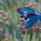 Foto: Mike & Jenny's Kaka Point Accommodation 6/15