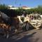 Arion Stables & Apartments