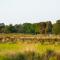 Molecaten Park Landgoed Ginkelduin