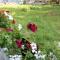 Central Varna Apartment - Lets4Holiday