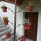 Guest house Dinka