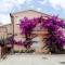 Apartments Bardak