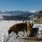 Alpenchalets Weissenbacher - Тамсвеґ