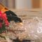 Hotel Garni Muttler Alpinresort & Spa