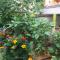 Friendly Peoples Guest House