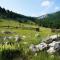 Mountain house Varda