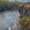 Abisko Guesthouse & Activities