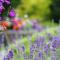 Stratton House Hotel & Spa