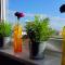 Apartament u Teofila