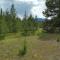 Right Choice Home Valemount